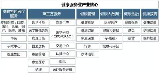 一张图看清大健康产业生态圈：健康咨询服务的核心地位