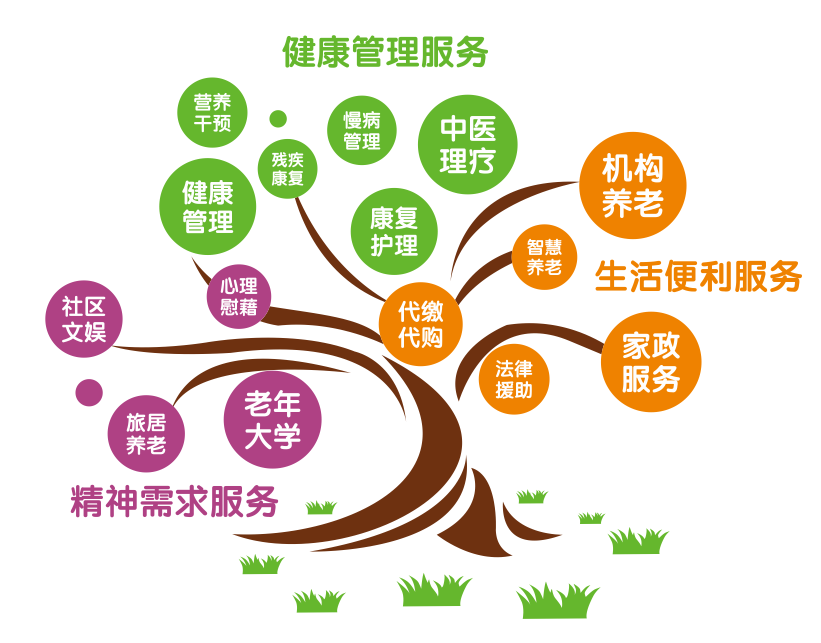 关爱空巢老人,让爱不再孤单——健康咨询服务指南
